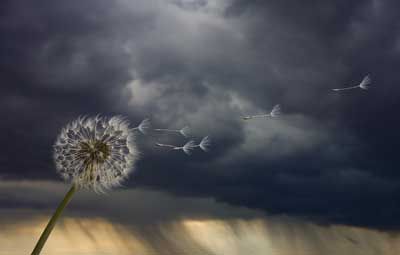 calm-before-storm-1.jpg