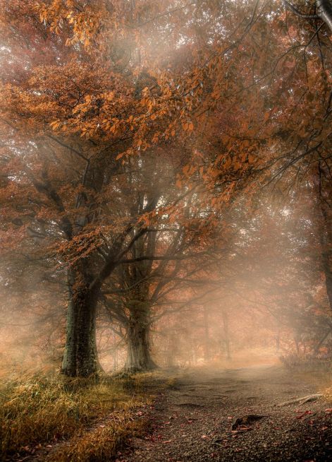 elmossa_a_lepzelet.jpg elmossa_a_lepzelet.jpg