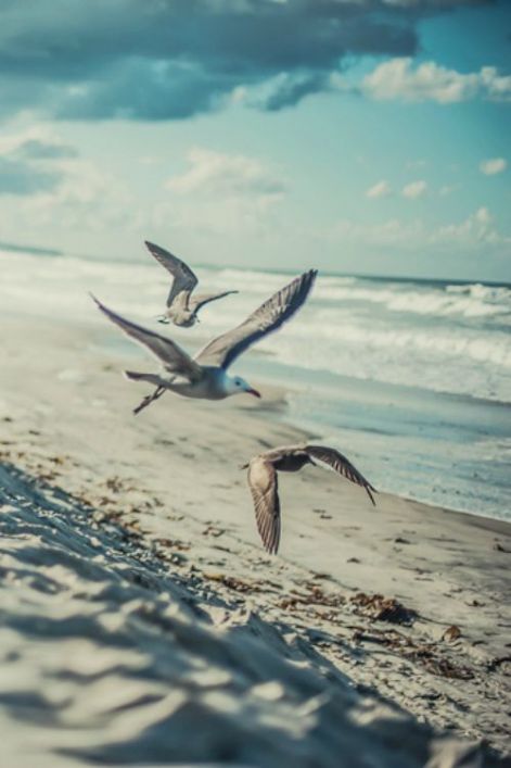 emlekezes.jpg emlekezes.jpg