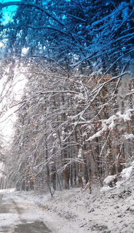 hirtelen.jpg hirtelen.jpg