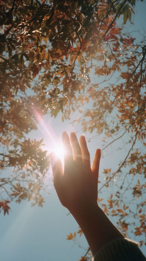 valogatok.jpg valogatok.jpg